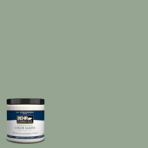 BEHR Premium Plus 8 oz. #PPH-53 Green Amazons Interior/Exterior Paint Sample - PPH-53 PP