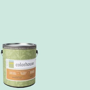 Colorhouse 1-gal. Water .01 Flat Interior Paint - 461710