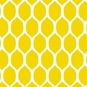 Stencil Ease 19.5 in. x 19.5 in. Lemonesque Wall Painting Stencil - SSO2157