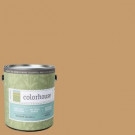 Colorhouse 1-gal. Clay .01 Eggshell Interior Paint - 462212