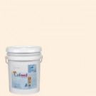Caliwel Home & Office 5 gal. Warm Hearth Beige Latex Premium Antimicrobial and Anti-Mold Interior Paint - 850856r