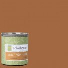 Colorhouse 1-qt. Clay .03 Flat Interior Paint - 661239